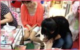 Foot care